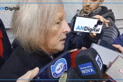 “Evitar otra tragedia de Once”: el Pollo Sobrero alertó en el Congreso sobre el estado de los trenes