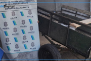 Robaron en una casa de La Plata y fueron atrapados mientras escapaban en un carro tirado por un caballo