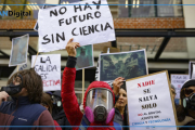 Radiografía del ajuste en ciencia: “El sistema perdió 5 mil investigadores”