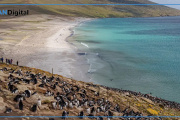 Tierra del Fuego se plantó por Malvinas: “Hay símbolos que no se dejan afuera”