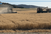 La actividad económica se frenó en mayo: el campo y la minería la sostienen ante la caída industrial