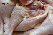 Investigan intoxicación masiva tras un evento solidario: sospechan de un brote de salmonella