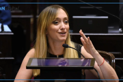 Ley de Tierras en el Senado: Fernández Sagasti pidió votar de forma remota por su embarazo y se encendió la polémica
