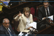 El oficialismo dio de baja el capítulo de venta de tierras y busca salvar la sesión en el Senado
