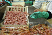 Langostino y merluza: el salto que empujó los desembarques de pesca en 2026