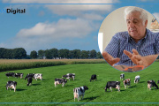 Terminante advertencia de Alberto Samid: “Nos estamos quedando sin vacas”