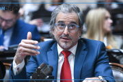La mora según Benegas Lynch: “Compraron la tele para el Mundial, Argentina perdió y ahora no quieren pagar”
