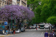 Clima en Buenos Aires: cómo seguirá el tiempo este sábado y qué pasa el domingo