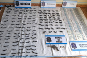 Golpe al narcotráfico en el Conurbano sur: 30 allanamientos y más de 4 kilos de drogas secuestrados