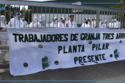 Ola de despidos en Granja Tres Arroyos: cierran plantas en Esteban Echeverría, Ezeiza y Entre Ríos
