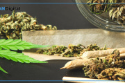 Cómo afecta el consumo de marihuana entre los más jóvenes
