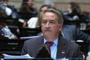 El oficialismo y la discapacidad: “No podemos vivir de emergencia en emergencia”