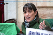 Del Plá tachó de “farsa” e “impostura” a la actitud del Gobierno ante la discapacidad