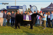 Semana del Angus: Don Cholo se consagró con “Josecito”, el Gran Campeón Macho de Primavera