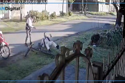 Motochorros balearon a un hombre para robarle la bicicleta en Los Hornos